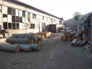 Wood processing workshop