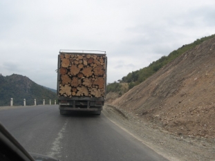 2010. Wood processing sector survey
