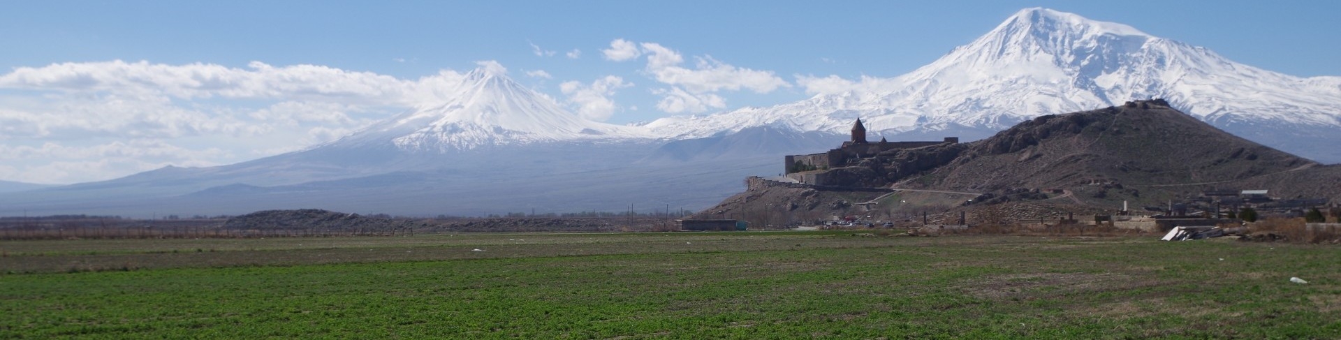 Գյուղատնտեսություն